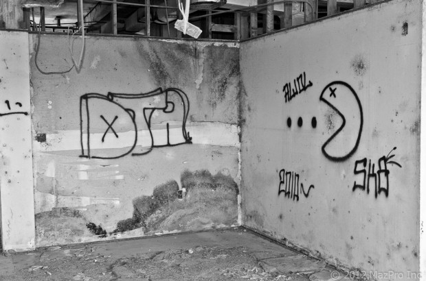 DSC_3787